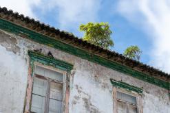 Terceira - Týden po Azorech (únor 2026)