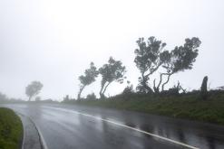 Velas - Týden po Azorech (únor 2026)