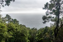 Calheta na São Jorge - Týden po Azorech (únor 2026)