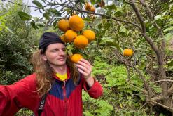 Calheta na São Jorge - Týden po Azorech (únor 2026)