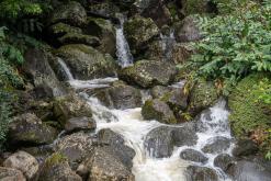 Calheta na São Jorge - Týden po Azorech (únor 2026)