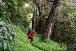Calheta na São Jorge - Týden po Azorech (únor 2026)