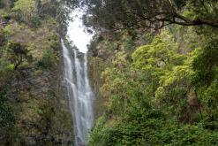 Calheta na São Jorge - Týden po Azorech (únor 2026)