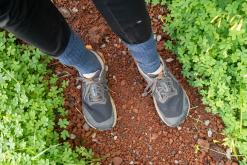 Calheta na São Jorge - Týden po Azorech (únor 2026)