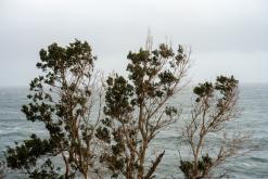 Calheta na São Jorge - Týden po Azorech (únor 2026)