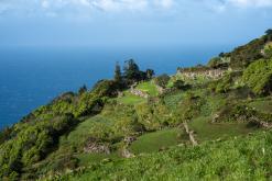 Calheta na São Jorge - Týden po Azorech (únor 2026)