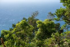 Calheta na São Jorge - Týden po Azorech (únor 2026)