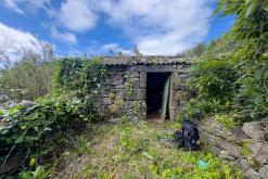 Vila do Topo - Týden po Azorech (únor 2026)