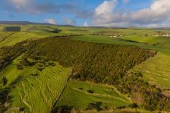 Vila do Topo - Týden po Azorech (únor 2026)