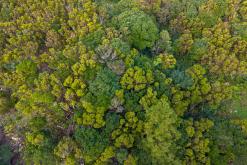 Vila do Topo - Týden po Azorech (únor 2026)