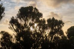 Vila do Topo - Týden po Azorech (únor 2026)