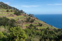 Vila do Topo - Týden po Azorech (únor 2026)