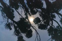 Vila do Topo - Týden po Azorech (únor 2026)