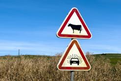 Vila do Topo - Týden po Azorech (únor 2026)