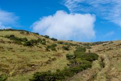 Vila do Topo - Týden po Azorech (únor 2026)