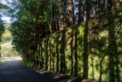 Vila do Topo - Týden po Azorech (únor 2026)