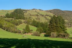 Vila do Topo - Týden po Azorech (únor 2026)