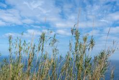 Norte Pequeno - Týden po Azorech (únor 2026)