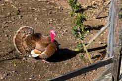 Norte Pequeno - Týden po Azorech (únor 2026)