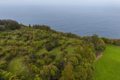 Norte Pequeno - Týden po Azorech (únor 2026)