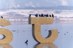 Jezero Most - 17.2.2025