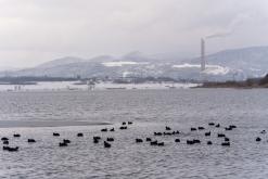 Jezero Milada - 13.2.2025