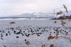 Jezero Milada - 13.2.2025