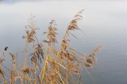 Jezero Milada - 9.12.2025