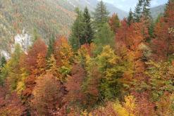 Innsbruck - září 2017