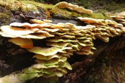 Innsbruck - září 2017