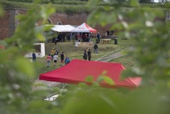 Terezínská cihla - počtvrté