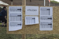 Terezínská cihla - počtvrté