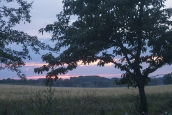 Zlej pofel - Chroustovice u Pardubic