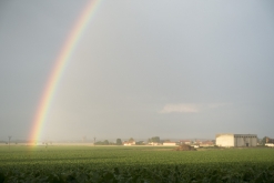 DrumyBassy Open Air 2020