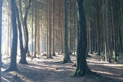 Acidelka Open Air 2017