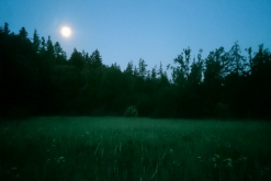 FDM FREAX 15th Anniversary