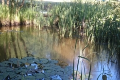 FDM FREAX 15th Anniversary