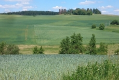 FDM FREAX 15th Anniversary