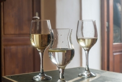 Šavlozubky + Čajka