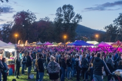 Václavská pouť 2019 - Scéna elektronické hudby