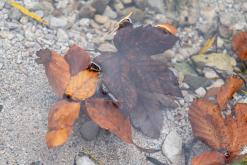 Berchtesgadenské Alpy - Prodloužený víkend (říjen 2025)