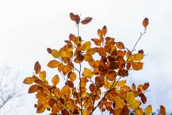 Berchtesgadenské Alpy - Prodloužený víkend (říjen 2025)