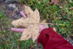 Berchtesgadenské Alpy - Prodloužený víkend (říjen 2025)