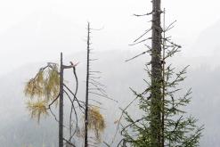 Berchtesgadenské Alpy - Prodloužený víkend (říjen 2025)