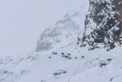 Berchtesgadenské Alpy - Prodloužený víkend (říjen 2025)