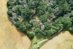 Matuřitní přeplesk