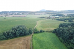 BSC + guests summer rave