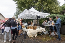 Hudební festival Švestkové dráhy a Třebívlické vinobraní