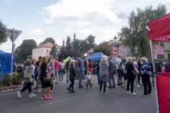 Hudební festival Švestkové dráhy a Třebívlické vinobraní