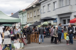 Zažít Roudnici jinak 2020 vol. VII